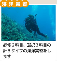 海洋実習