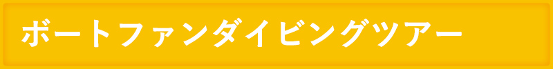 ボートファンダイビングツアー