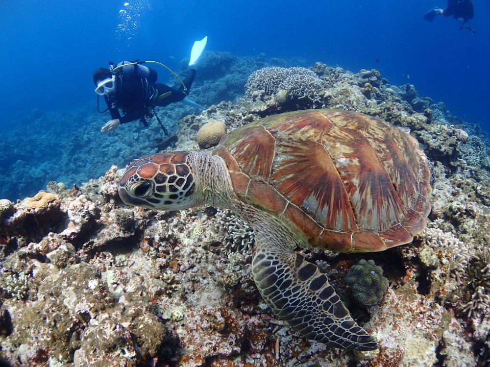 チービシ諸島