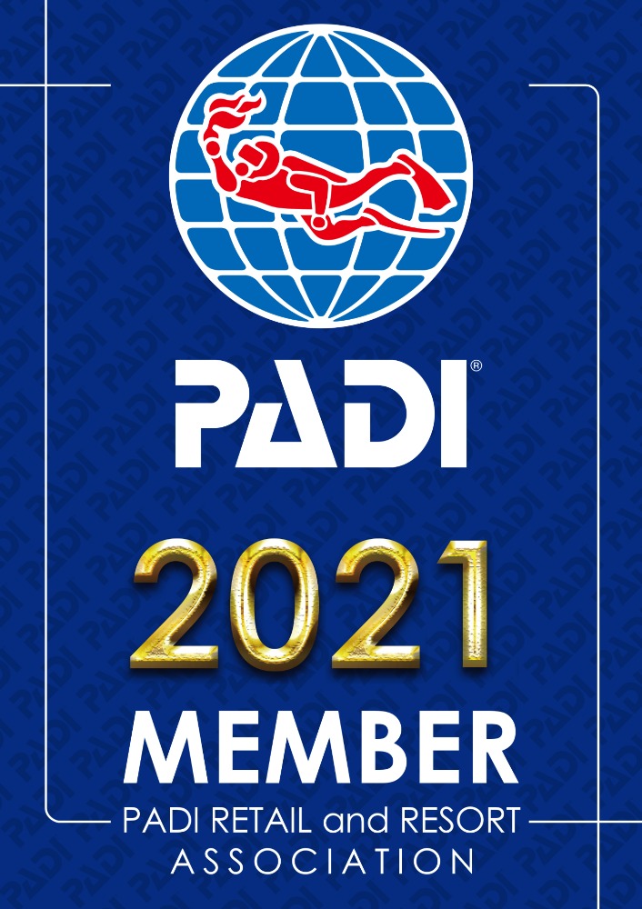 ディーバではPADIのライセンスが取れます