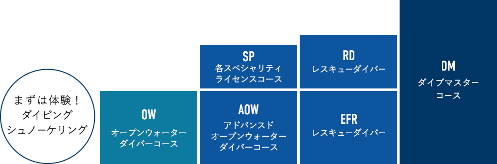 ライセンスの種類・ランク