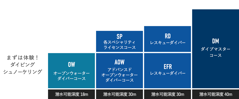 ライセンスの種類・ランク