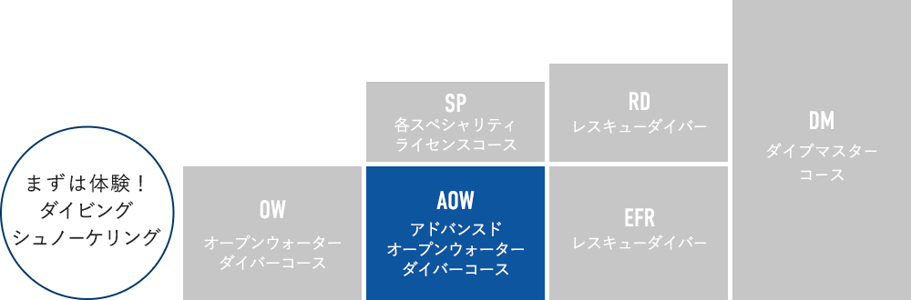 ライセンスの種類・ランク