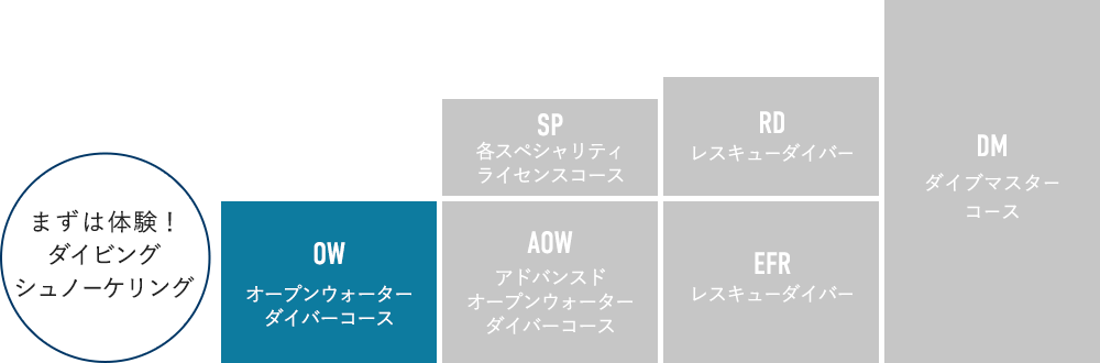 ライセンスの種類・ランク