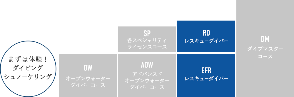 ライセンスの種類・ランク