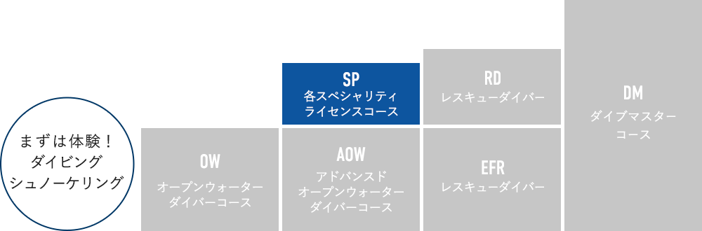 ライセンスの種類・ランク