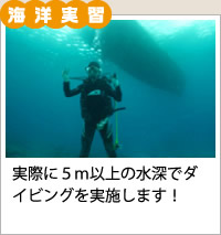 海洋実習